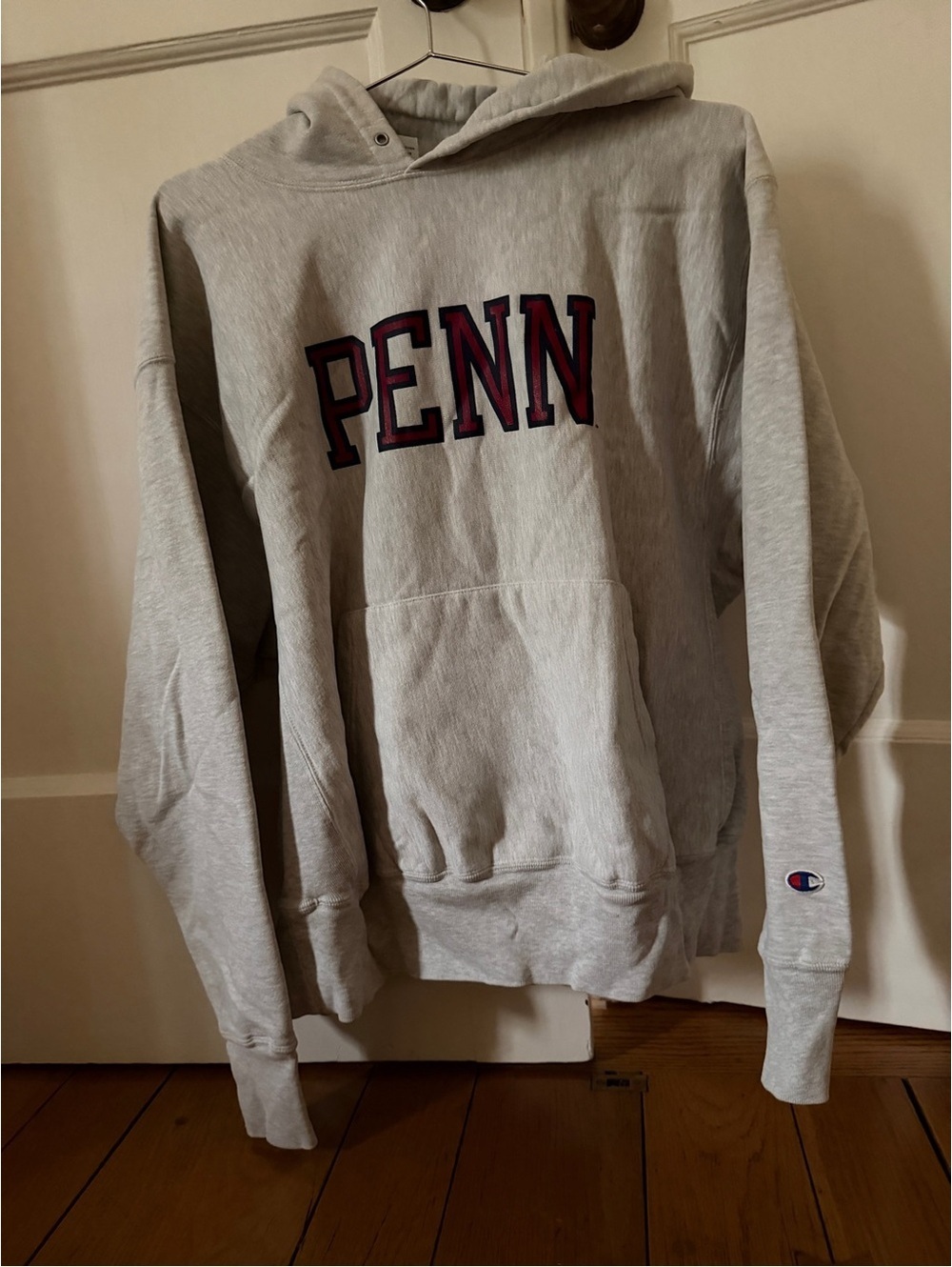 Vintage Y2K Champion Reverse weave gray sweatshirt UPENN XL